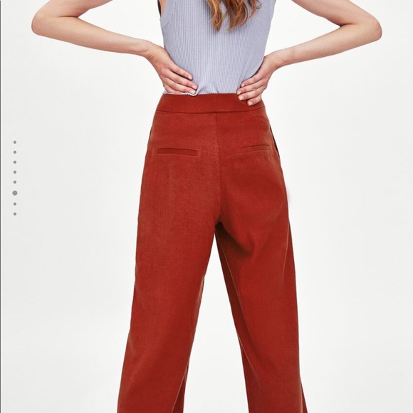 Zara Palazzo Pants - Picture 5 of 7
